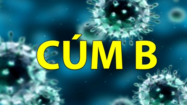Chuyên gia Bệnh viện Nhi TW chỉ dẫn 8 thông tin về bệnh cúm B cha mẹ cần biết - Ảnh 1. Chuyên gia Bệnh viện Nhi TW chỉ dẫn 8 thông tin về bệnh cúm B cha mẹ cần biết - Ảnh 1.