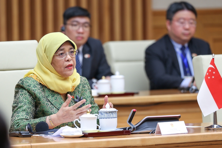Tổng thống Singapore và Thủ tướng Phạm Minh Chính nhất trí khuyến khích phát triển các KCN VSIP - Ảnh 4. Tổng thống Singapore và Thủ tướng Phạm Minh Chính nhất trí khuyến khích phát triển các KCN VSIP - Ảnh 4.