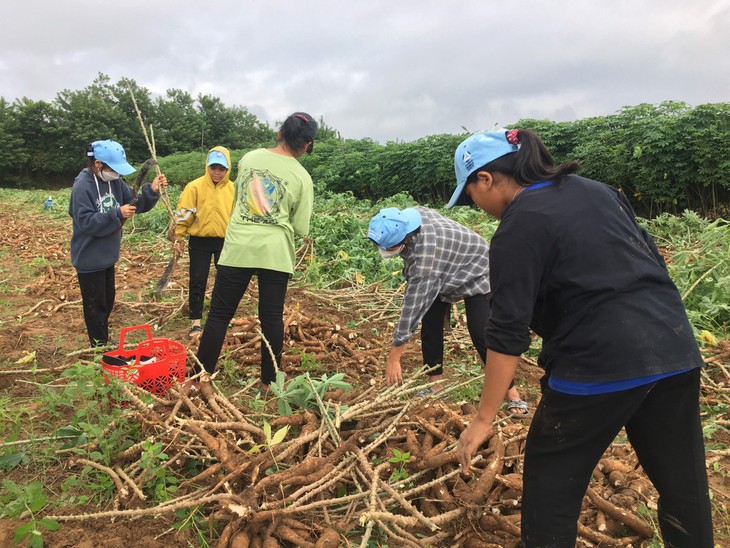 Điều kỳ diệu từ mái ấm của những nữ tu - Ảnh 6. Điều kỳ diệu từ mái ấm của những nữ tu - Ảnh 6.
