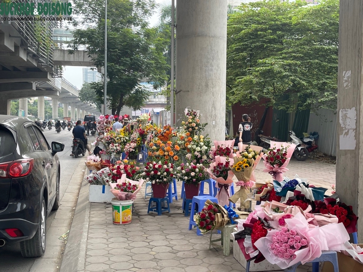 Hoa tràn vỉa hè Hà Nội trước ngày lễ 20/10 - Ảnh 1.