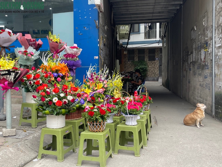 Hoa tràn vỉa hè Hà Nội trước ngày lễ 20/10 - Ảnh 7.