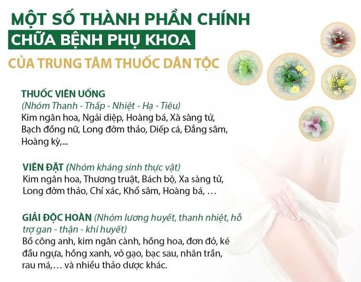 Bài thuốc chữa viêm phụ khoa bằng Đông y chất lượng - Ảnh 2.