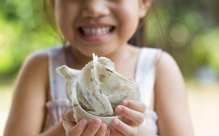 3 lợi ích tuyệt vời yến sào đối với trẻ biếng ăn, suy dinh dưỡng