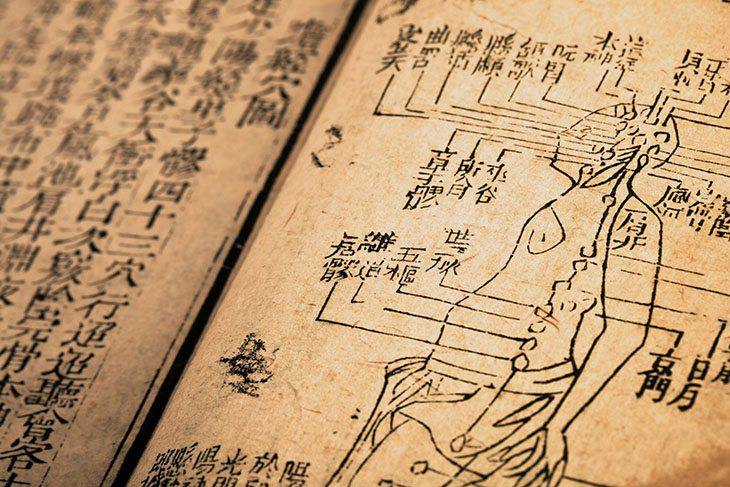 Người được mệnh danh là “ông tổ” thuốc Nam và mở đầu cho nền y dược cổ truyền của Việt Nam - Ảnh 6.