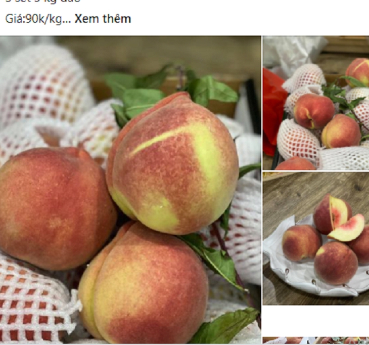 Loại trái cây quả nặng tới nửa kg một quả “đắt như tôm tươi” dù giá chát - Ảnh 2. Loại trái cây quả nặng tới nửa kg một quả “đắt như tôm tươi” dù giá chát - Ảnh 2.
