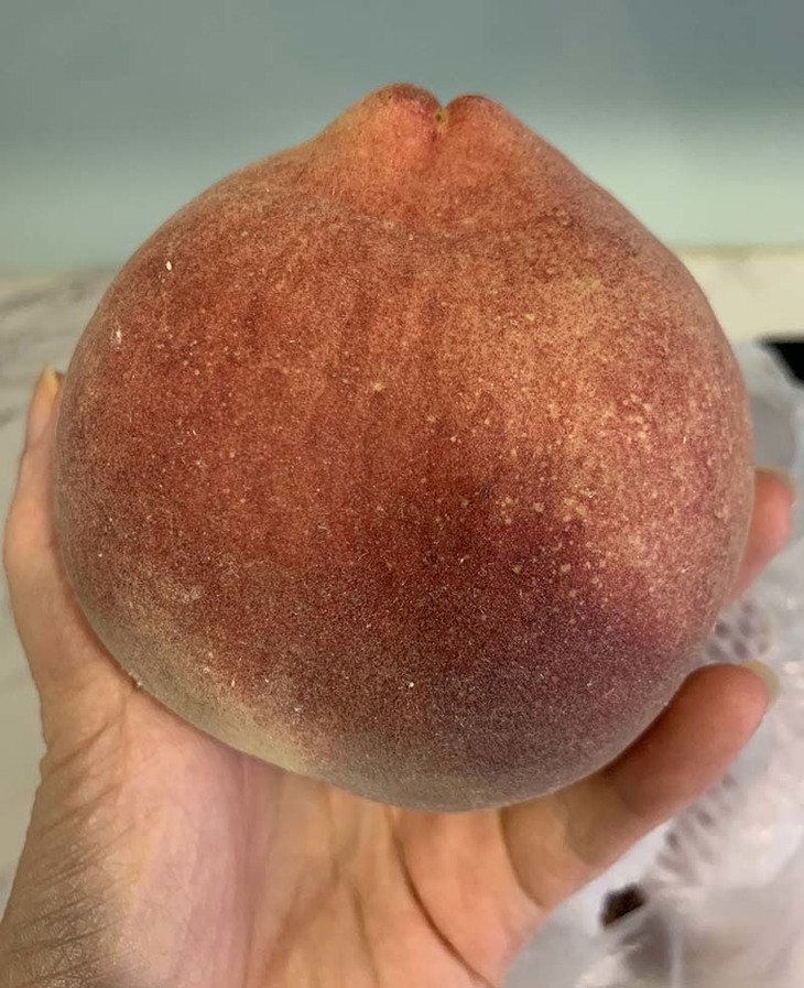 Loại trái cây quả nặng tới nửa kg một quả “đắt như tôm tươi” dù giá chát - Ảnh 3. Loại trái cây quả nặng tới nửa kg một quả “đắt như tôm tươi” dù giá chát - Ảnh 3.