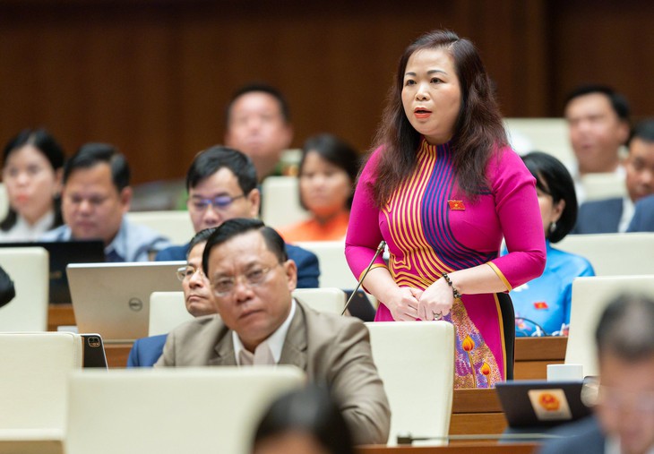 Có biểu hiện lợi ích nhóm ở một số địa phương, vi phạm giao đất không qua đấu giá - Ảnh 2.