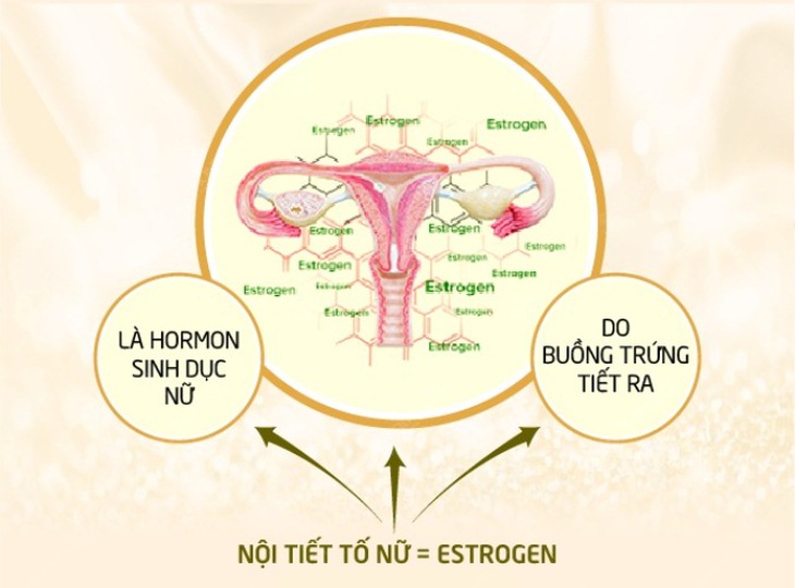 Nội tiết tố thay đổi như thế nào trong giai đoạn mãn kinh? - Ảnh 3. Nội tiết tố thay đổi như thế nào trong giai đoạn mãn kinh? - Ảnh 3.
