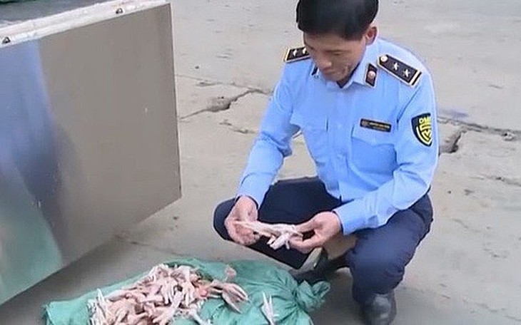 Hơn 3 tấn chân gà đã bốc mùi hôi thối chuẩn bị tuồn ra thị trường