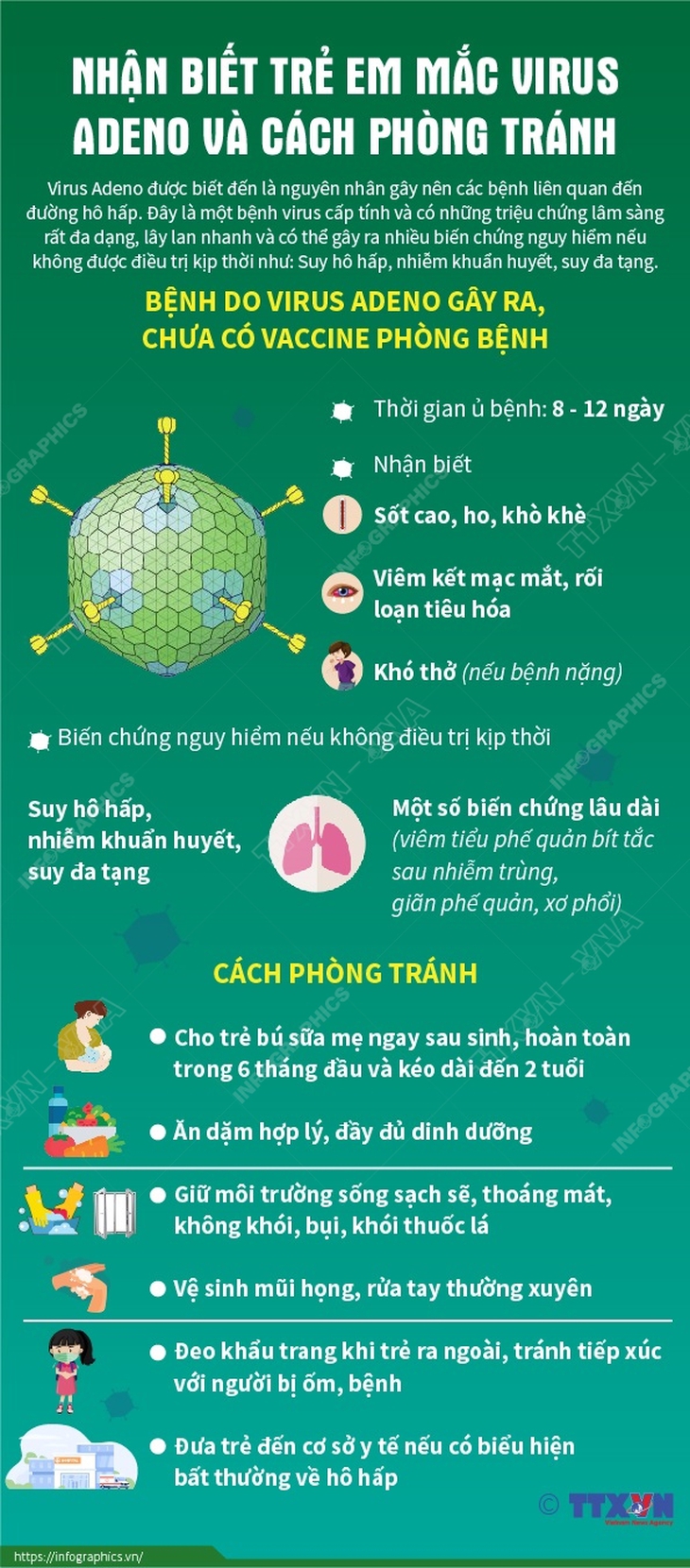 Không xét nghiệm tràn lan Adenovirus ở trẻ em - Ảnh 4.
