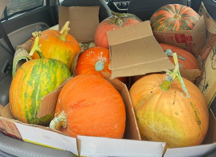 Bí ngô Halloween: Quả khổng lồ giá 7,5 triệu, loại xấu cũng đắt như tôm tươi - Ảnh 1.