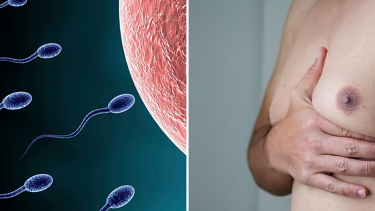 Làm gì khi nam giới có nội tiết tố nữ tăng cao? - Ảnh 4.