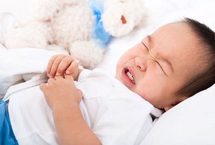 Giảm nỗi lo rối loạn tiêu hóa nhờ men vi sinh 5 tỷ lợi khuẩn - Ảnh 1.