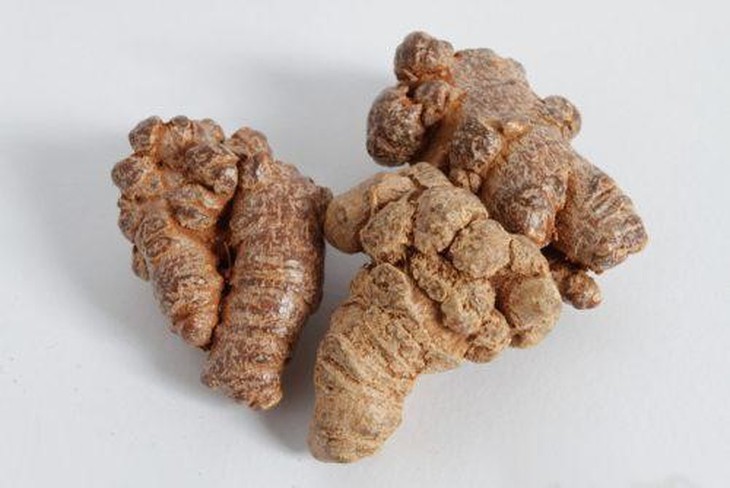 Tác dụng của củ tam thất trong hỗ trợ người bệnh ung bướu - Ảnh 1.