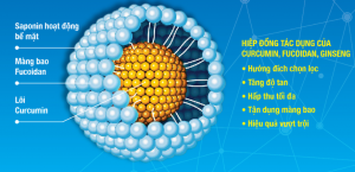 Tác dụng của củ tam thất trong hỗ trợ người bệnh ung bướu - Ảnh 2.