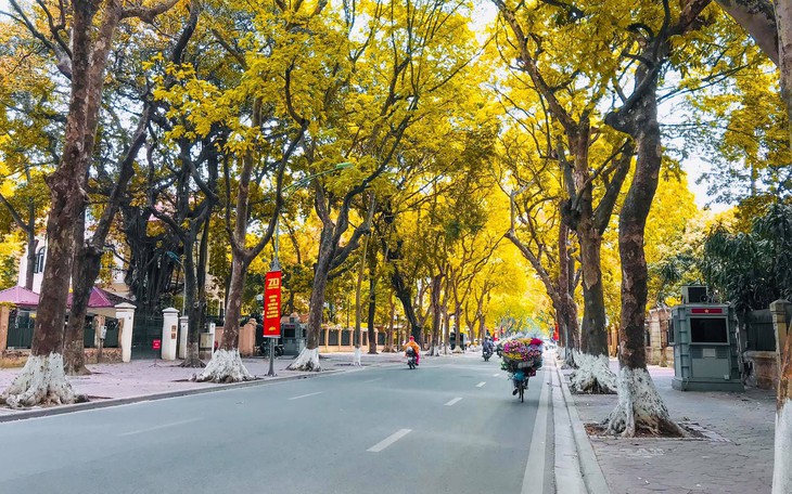 Bắc Bộ ngày hửng nắng đêm mưa, Trung - Nam Bộ mưa dông rải rác