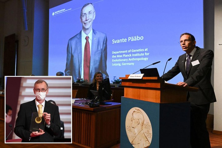 Giải Nobel Y sinh 2022 đã có chủ - Ảnh 2. Giải Nobel Y sinh 2022 đã có chủ - Ảnh 2.