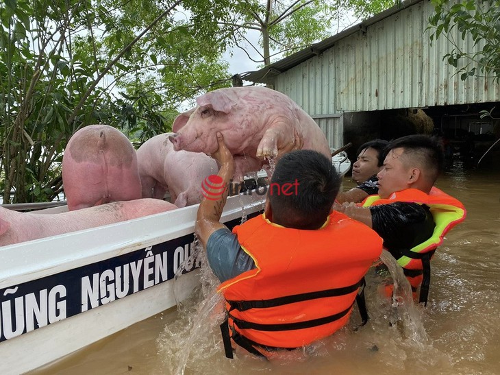 Cảm động những hình ảnh ấm tình người trong mưa lũ miền Trung - Ảnh 1.