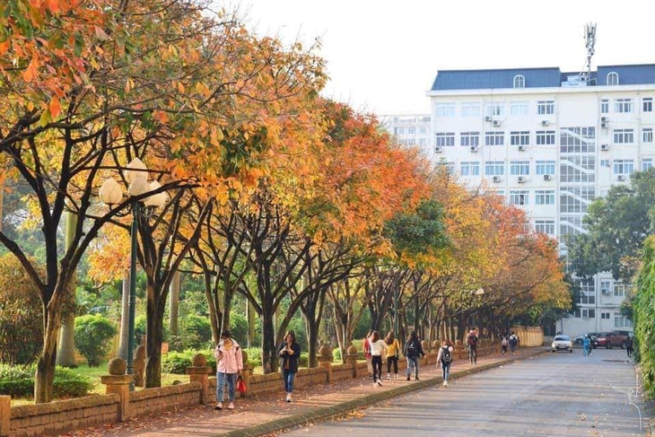 Bắc Bộ tiếp tục nắng ráo, Trung - Nam Bộ mưa dông trong nhiều ngày - Ảnh 1. Bắc Bộ tiếp tục nắng ráo, Trung - Nam Bộ mưa dông trong nhiều ngày - Ảnh 1.
