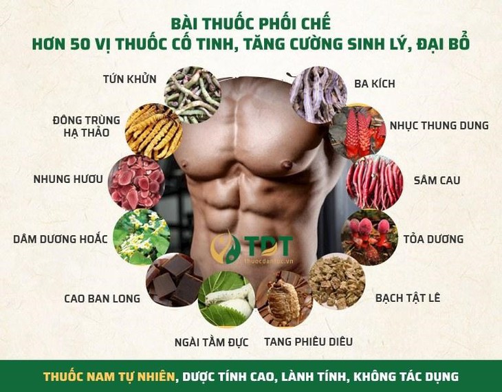 Bài thuốc chữa xuất tinh sớm bằng Đông y bổ thận, cố tinh, cường sinh lực - Ảnh 3.