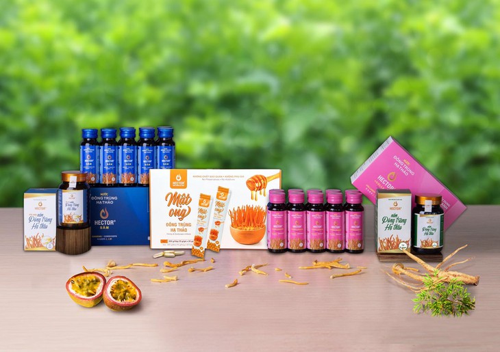 Đông trùng hạ thảo và lợi ích sức khỏe tuyệt vời - Ảnh 7.