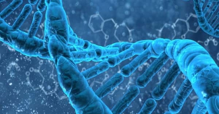Ứng dụng của ADN trong cuộc sống thường ngày có thể nhiều người chưa biết