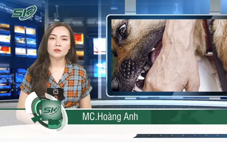 Ca tử vong vì bệnh dại gia tăng do người bệnh chủ quan không tiêm phòng