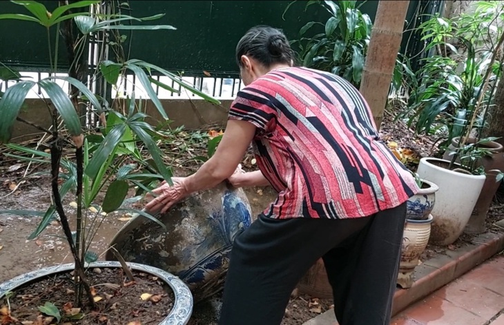 Hà Nội: Ghi nhận gần 10.000 ca mắc sốt xuất huyết - Ảnh 1. Hà Nội: Ghi nhận gần 10.000 ca mắc sốt xuất huyết - Ảnh 1.
