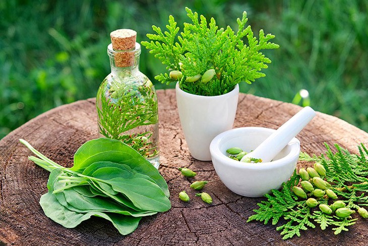 Cùng VPO Pharco khai phá tiềm năng của dược liệu tự nhiên - Ảnh 1. Cùng VPO Pharco khai phá tiềm năng của dược liệu tự nhiên - Ảnh 1.