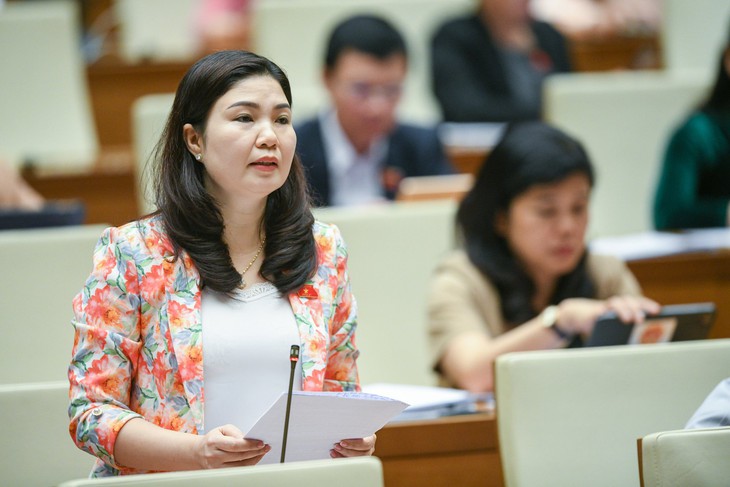 Quá nhiều tổ chức tham gia bảo vệ người tiêu dùng có thể gây chồng chéo - Ảnh 4.