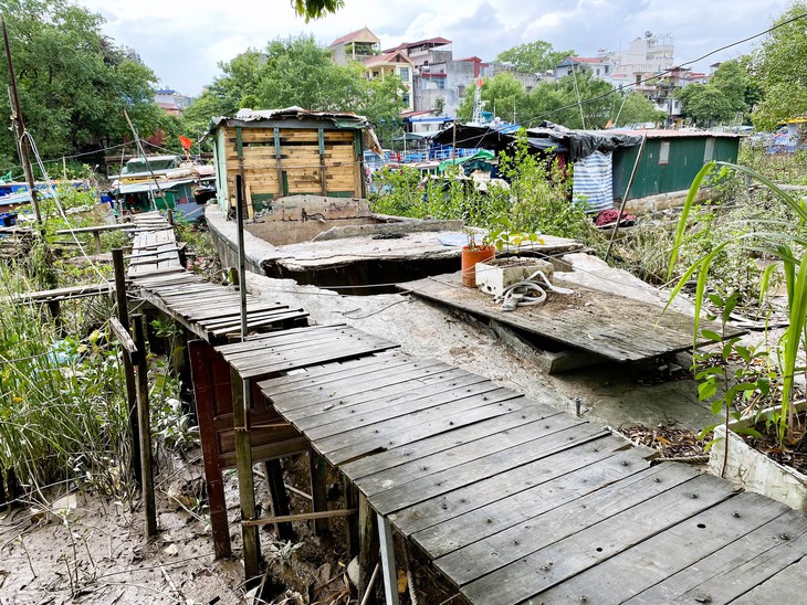 Hình ảnh "xóm nhà thuyền" ở Hải Phòng sau khi lên bờ - Ảnh 1. Hình ảnh "xóm nhà thuyền" ở Hải Phòng sau khi lên bờ - Ảnh 1.