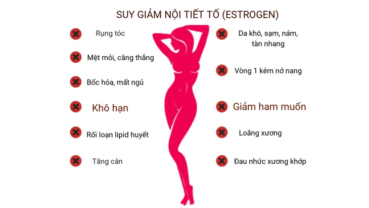 Estrogen giữ nước và mỡ ở dưới da nên làm cho da dẻ phụ nữ mịn màng và tươi nhuận. Ảnh minh họa Estrogen giữ nước và mỡ ở dưới da nên làm cho da dẻ phụ nữ mịn màng và tươi nhuận. Ảnh minh họa