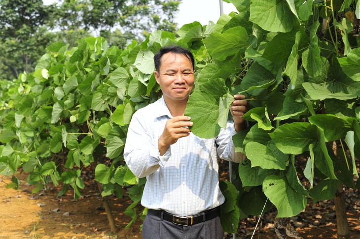 Trồng 2 loại củ trên đất khô cằn, anh "nông dân 4.0" thu hơn tỷ đồng mỗi năm - Ảnh 5.