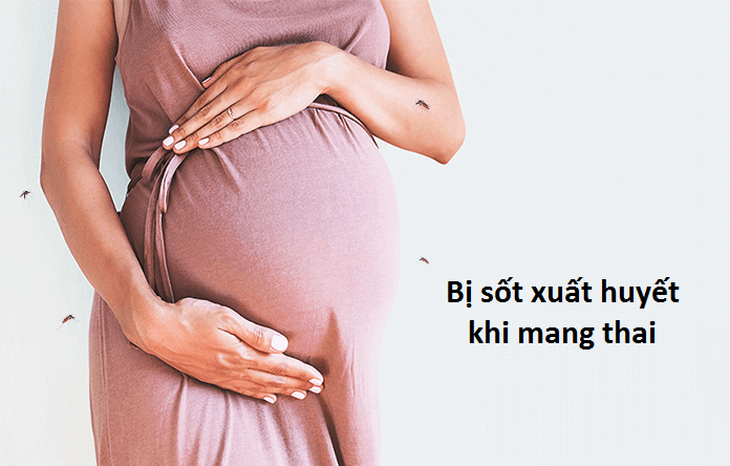 Sốt xuất huyết nguy hiểm với phụ nữ mang thai, cần xử trí thế nào? - Ảnh 2. Sốt xuất huyết nguy hiểm với phụ nữ mang thai, cần xử trí thế nào? - Ảnh 2.