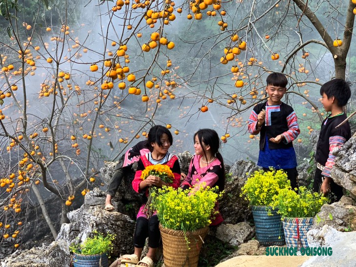 Lạc bước vào vườn hồng trĩu quả giữa núi rừng Tây Bắc - Ảnh 1.