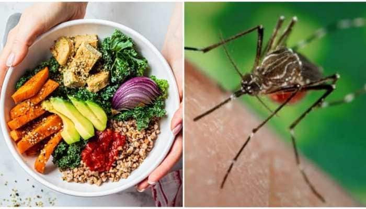 Chế ăn ảnh hưởng đến sự phục hồi của bệnh nhân sốt xuất huyết - Ảnh 2. Chế ăn ảnh hưởng đến sự phục hồi của bệnh nhân sốt xuất huyết - Ảnh 2.