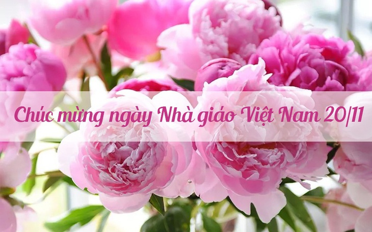 Những lời chúc ngày Nhà giáo Việt Nam 20/11 hay và ý nghĩa nhất