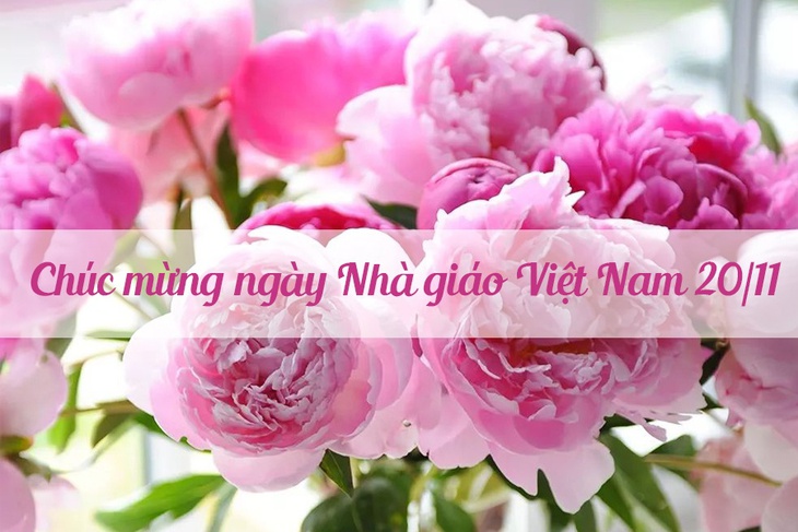 Những lời chúc ngày Nhà giáo Việt Nam 20/11 hay và ý nghĩa nhất - Ảnh 2.