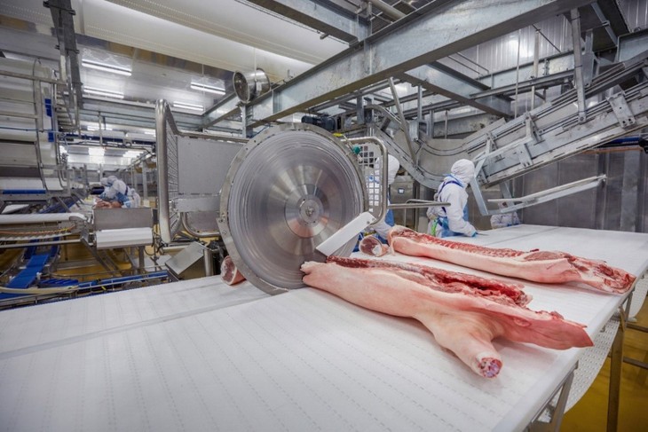 Hệ thống trường học sử dụng thịt sạch MEATDeli cho bữa ăn tại trường vì sức khỏe học sinh - Ảnh 1. Hệ thống trường học sử dụng thịt sạch MEATDeli cho bữa ăn tại trường vì sức khỏe học sinh - Ảnh 1.