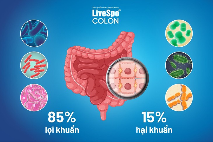 Hỗ trợ điều trị loạn khuẩn đường ruột bằng bào tử lợi khuẩn - Ảnh 1.
