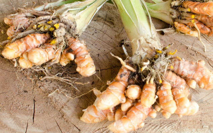 4 loại thảo mộc tốt cho trí não, ngăn ngừa suy nhược thần kinh