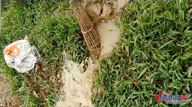 Đổ xô săn con phá hoại mùa màng, thu tiền triệu vẫn không đủ bán - Ảnh 2. Đổ xô săn con phá hoại mùa màng, thu tiền triệu vẫn không đủ bán - Ảnh 2.
