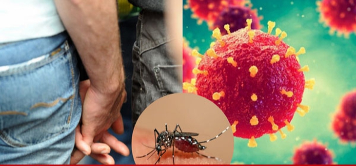 Sốt xuất huyết có lây qua quan hệ tình dục không? - Ảnh 1.