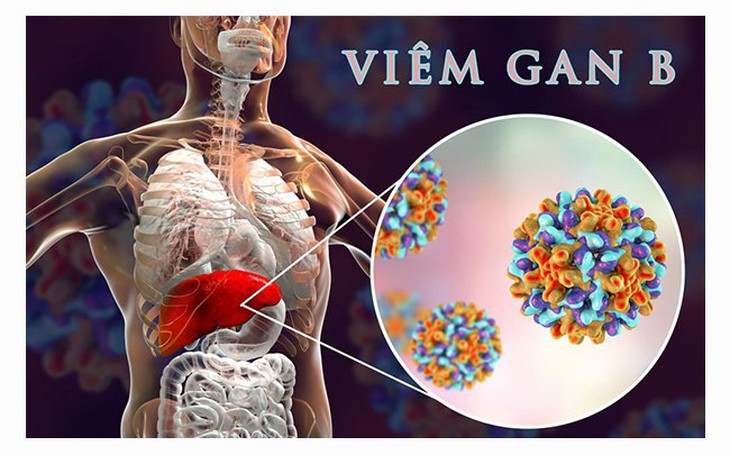 Thuốc mới mang lại kết quả tích cực trong điều trị viêm gan B mạn tính - Ảnh 1.