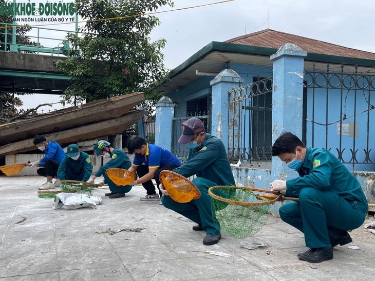Cá hồ Tây tiếp tục chết sau hàng loạt giải pháp - Ảnh 8.