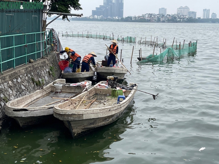 Cá hồ Tây tiếp tục chết sau hàng loạt giải pháp - Ảnh 9.