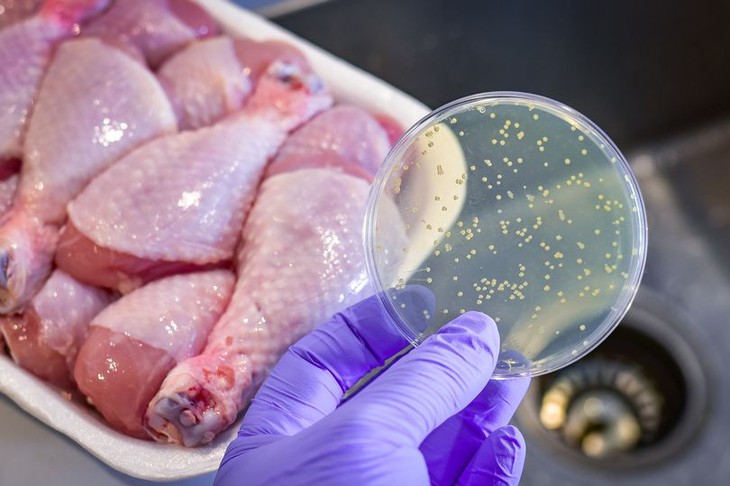 Thực phẩm nào có thể nhiễm khuẩn Salmonella - nguyên nhân được hướng đến trong vụ ngộ độc tại trường iSchool Nha Trang? - Ảnh 5. Thực phẩm nào có thể nhiễm khuẩn Salmonella - nguyên nhân được hướng đến trong vụ ngộ độc tại trường iSchool Nha Trang? - Ảnh 5.