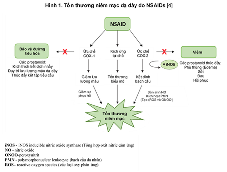 Lưu ý dùng thuốc PPI trị viêm loét dạ dày do NSAID - Ảnh 1.