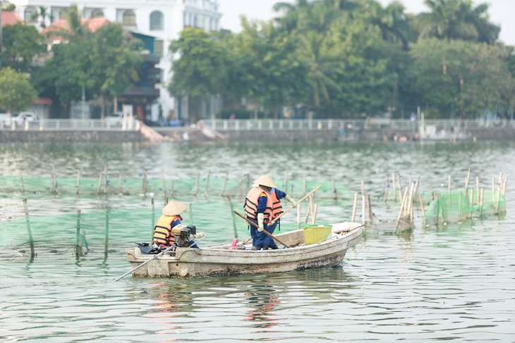 Cá chết nổi trắng hồ Tây khiến cuộc sống người dân thay đổi thế nào? - Ảnh 3.