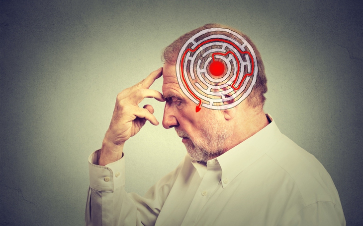 Hợp chất trong trà xanh và rượu vang có thể làm chậm sự tiến triển của bệnh Alzheimer